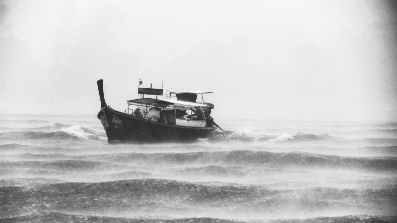 Triunfo del trabajo en&nbsp;equipo