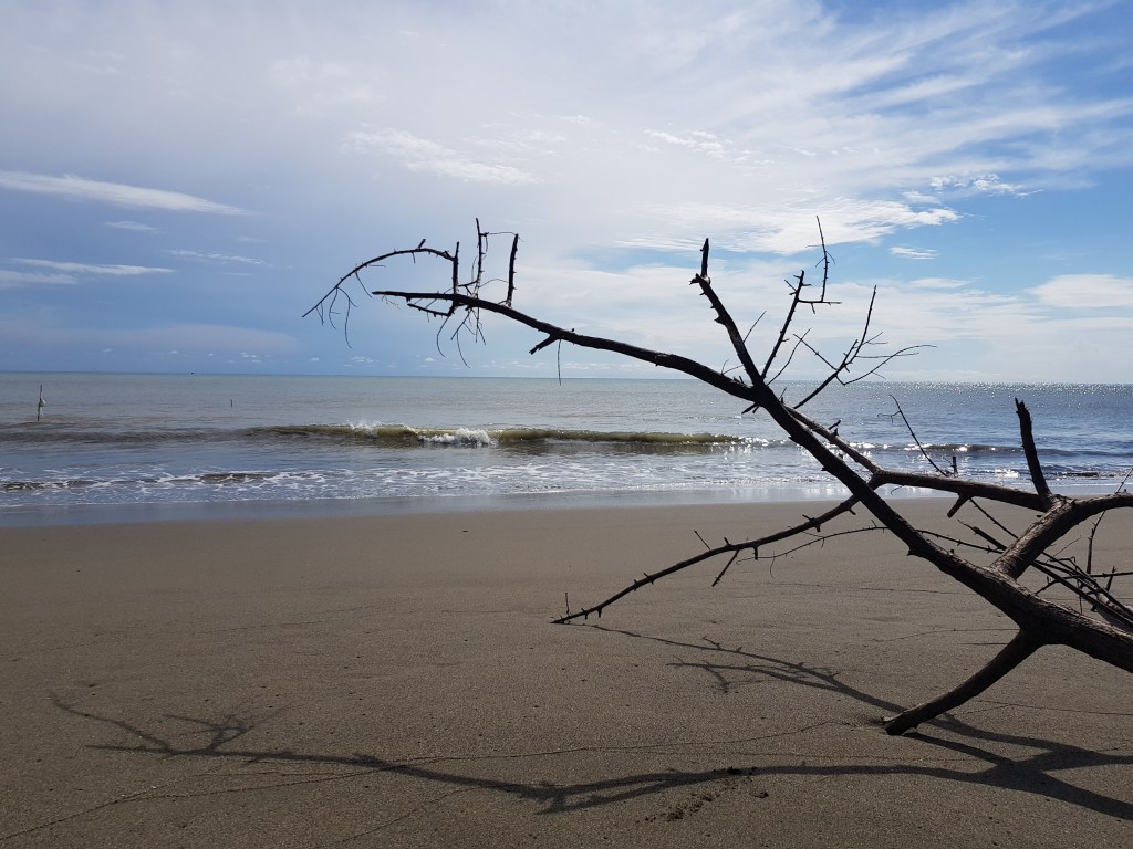 Un mar, un puerto.